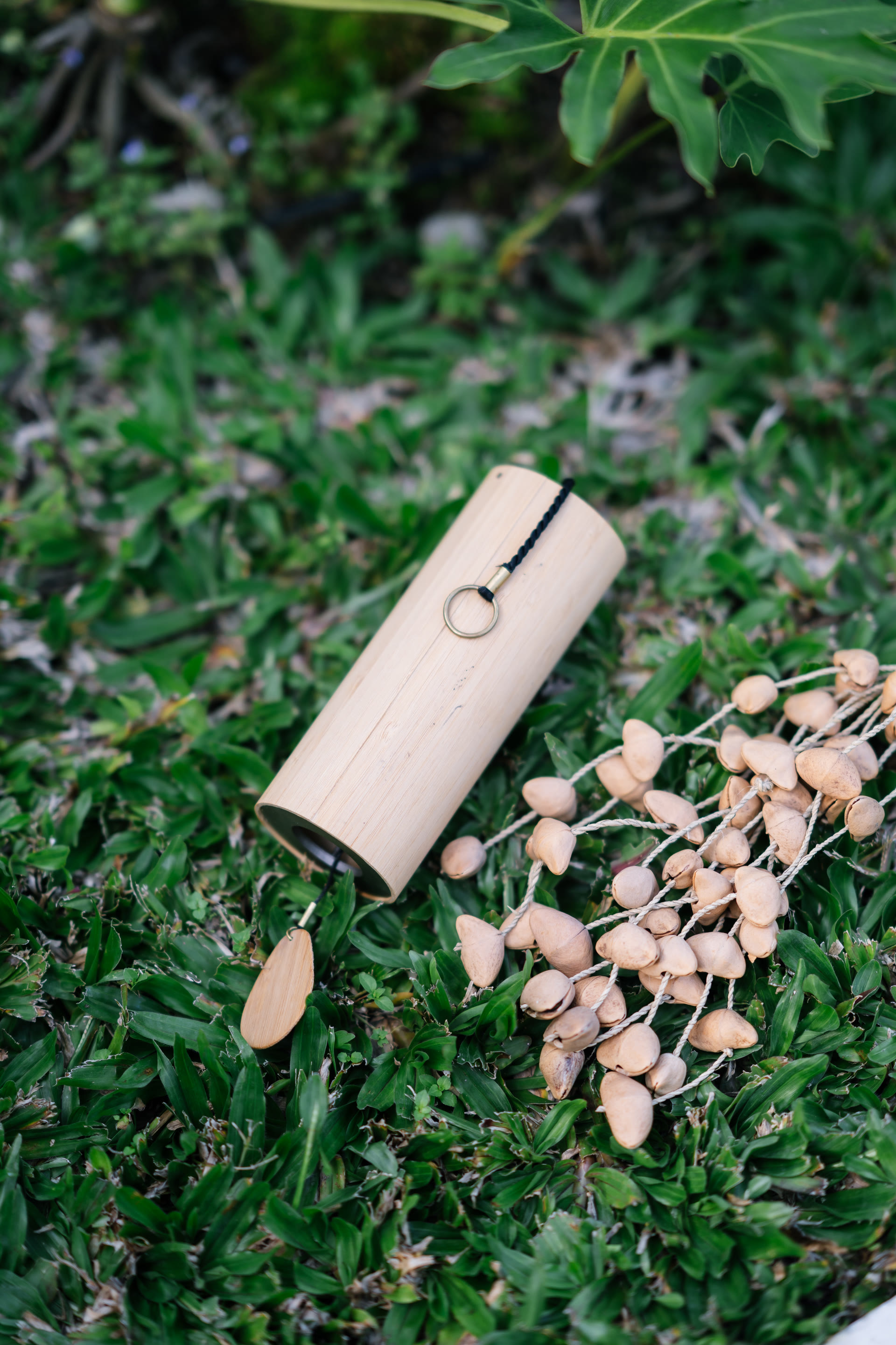 Koshi chime and seed pods